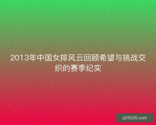 2013年中国女排风云回顾希望与挑战交织的赛季纪实